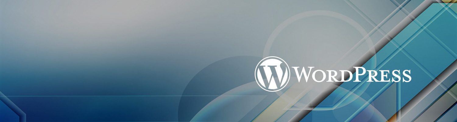 wordpress website design agency